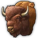 Bison Bison