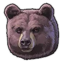 Schwarzbär Schwarzbär