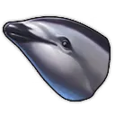 Schwarzdelfin Schwarzdelfin