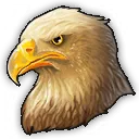 Adler Adler