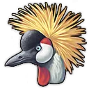 Grauhals-Kronenkranich Grauhals-Kronenkranich