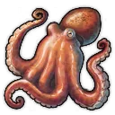 Der Krake Der Krake