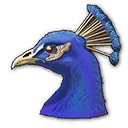 Pfau