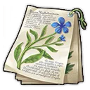 Feldtagebuch für Kräuterkundige Feldtagebuch für Kräuterkundige