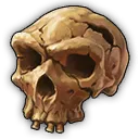 Neanderthaler-Skelett Neanderthaler-Skelett