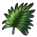 Metaxya-Farn Metaxya-Farn